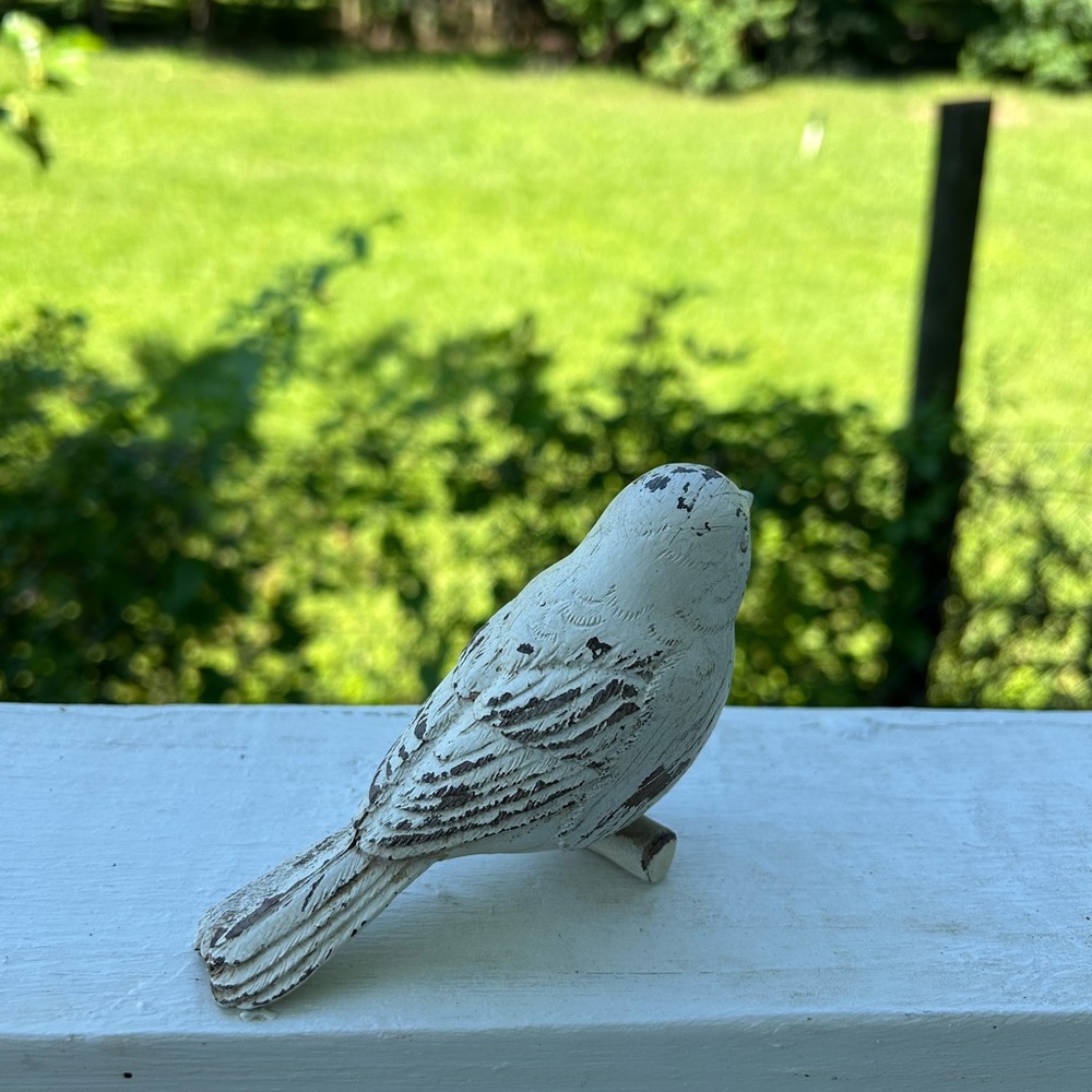 Bird - Picture 2 of 12
